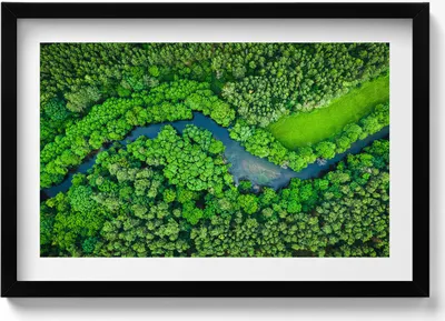 Produktbild von Wald und Fluss aus der Vogelperspektive– Wandbild mit Rahmen – Gerahmtes Bild  – Wanddekoration – 60x40 cm –  Schwarz Rahmen