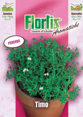 Produktbild von Thymian | Thymiansamen von Flortis [MHD 12/2026]