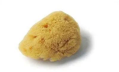 Produktbild von CROLL & DENECKE Naturschwamm I Zum Baden und Duschen I Meeresschwamm Handveredel