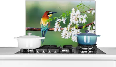 Produktbild von KitchenYeah®  Spritzschutz Küche - Küchenrückwand - Wandschutz für Herd und Spüle - Vogel - Bienenfresser - Blumen 60x40 - Alu-Dibond (Alternative zum Spritzschutz aus Glas) - Hitzebeständig - Herdspr