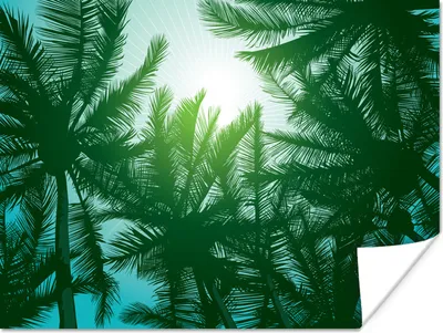 Produktbild von MuchoWow® Poster Das Blätterdach der Palmen und die Sonne am blauen Himmel 120x90 cm - Wandbild