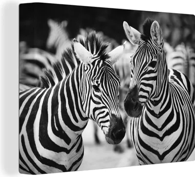 Produktbild von MuchoWow® - Leinwandbilder - Zebra schwarz und weiß, Wandbild, Wanddeko Bilder Wohnzimmer, 40x30 cm