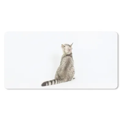 Produktbild von MuchoWow® Mauspad Mousepad Katze - Haustiere - Fell 60x30 cm - Mousepads - Maus Mat - Pad - Mausunterlage - Nachhaltig