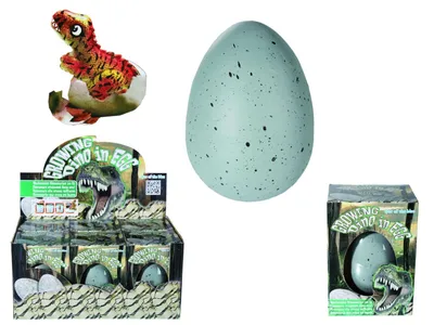 Produktbild von OOTB Wachsender Dinosaurier im Ei ca. 11 cm