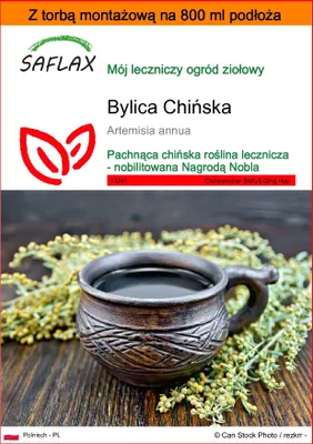 Zdjęcie produktu dla SAFLAX - Garden in the bag - Bylica Chińska - 250 Nasiona - Z podłożem uprawowym w praktycznej, samorozkładającej się torbie - Artemisia annua