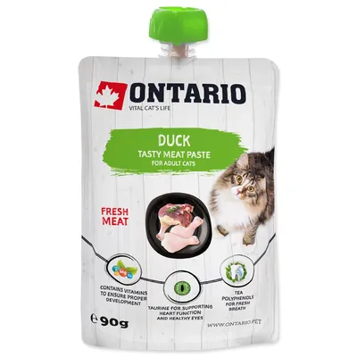 Image de Pâte de canard 90 g