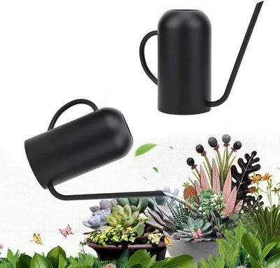 Image de Arrosoir en acier inoxydable de 1,5 l pour le jardin et l'arrosage des fleurs