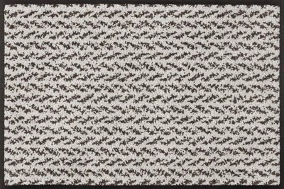 Schmutzfangmatte 40x60 cm, waschbar, innen & außen, Duo Latte