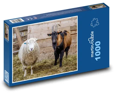 Zdjęcie produktu dla martinpuzzle - Puzzle 1000 - Farma - Zwierzęta gospodarskie