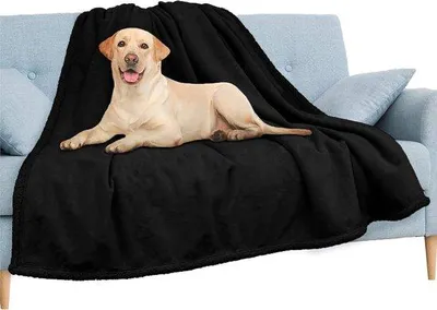 Obrázek produktu pro Měkká, omyvatelná podložka pro psy Famanu Hundedecke, vhodná do psích pelíšků – černá, 71 x 99 cm