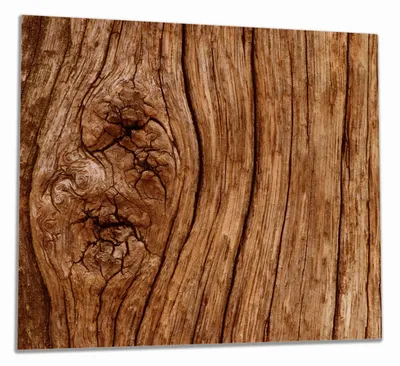 Produktbild von Wallario Herdabdeckplatte aus Glas, Größe 60 x 52 cm 1-teilig, Motiv Holzstamm mit Asteinschluss