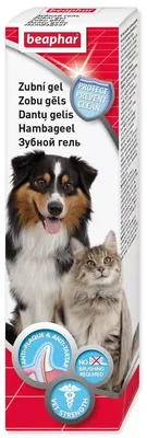 Image de Gel dentaire pour chiens Beaphar 100 g