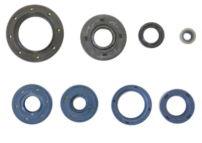 Zdjęcie produktu dla Uszczelki silnika Zestaw uszczelek silnika Athena do Aprilia 650 91-04 (Rotax 654)
