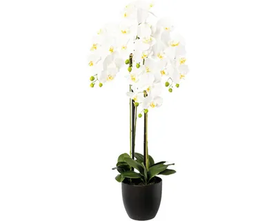 Zdjęcie produktu dla Sztuczny storczyk Phalaenopsis 99 cm w doniczce z żywicy - biała dekoracja do domu
