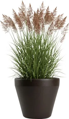 Produktbild von HowHomely | Pflanzgefäß - Blumentopf - B55xH49 cm - braun - Übertopf - Blumenkübel - Dekorativ