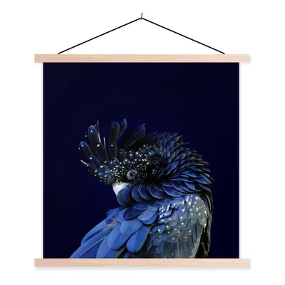 Produktbild von MuchoWow® Textilposter Nahaufnahme Rotschwanzkakadu 40x40 cm mit holzfarbenen Rahmen - Posterleiste