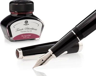 Immagine prodotto di Set di penne stilografiche Cleo Skribent Classic Palladium Nero, penna stilografica a cartuccia e 30 ml di inchiostro bordeaux
