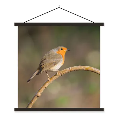 Produktbild von MuchoWow® Textilposter Rotkehlchen - Vogel - Natur 120x120 cm mit schwarzem Rahmen - Aufhängungsset
