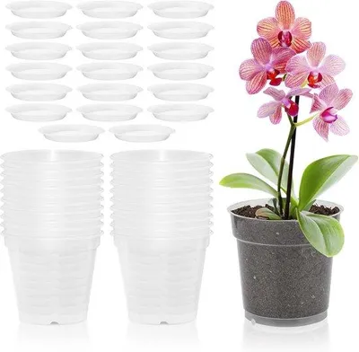 Immagine prodotto di Vasi trasparenti per orchidee - Vasi da coltivazione con sottovaso - 20 pezzi - Plastica - 11,5 cm