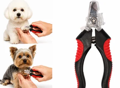 Produktbild von Flamingo krallenschere für Hunde - Professioneller Krallenschneider Knippie Klei