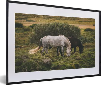 Produktbild von MuchoWow® MuchoWow® Gerahmtes Poster Pferde - Gras - Strauch 60x40 cm - Poster mit zchwarzem Bilderrahmen - Schlafzimmer - Plakat in Rahmen - Drucken