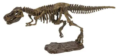 Immagine prodotto di Kit di scavo 3D del Tirannosauro