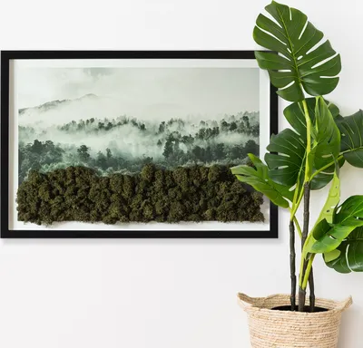Produktbild von Moosbild mit Konserviertem Moos 3D Wandbild - 60x40 cm - Schwarzer MDF-Rahmen - Wald im Nebel
