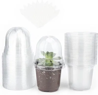 Zdjęcie produktu dla Allecto Plus – 32 małe plastikowe doniczki z kopułkowymi pokrywkami do nasion i sadzonek – w zestawie 10 pączków roślinnych