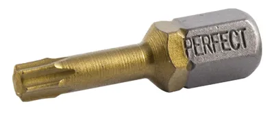Image de Rallonge d'embout TITAN TORX 30x25mm (2 pièces) STALCO