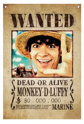 Obrázok produktu pre One Piece Wandbehang Luffy Wanted 120 x 85 cm