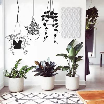 hängende tropische Pflanze – Decords Wandtattoo, Produktansicht 1
