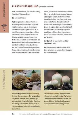 Zdjęcie produktu dla Pilze bestimmen - Der kleine Pilzführer für Einsteiger und Fortgeschrittene