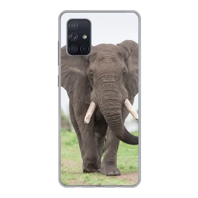 Produktbild von MuchoWow® Handyhülle Schutzhülle Hülle für Samsung Galaxy A51 Elefant - Tiere - Gras - Natur Silikon Softcase Handy Hülle - Schutzabdeckung
