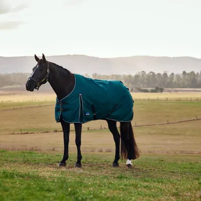 Produktbild von Weatherbeeta Weidedecke in Größe 145 - Comfitec Classic Turnout 50g