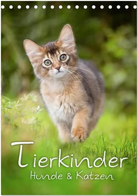 Produktbild von Tierkinder Hunde und Katzen (Tischkalender 2026 DIN A5 hoch), CALVENDO Monatskalender