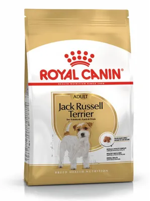 Obrázek produktu pro Royal Canin Jack Russell Adult, Dospělý jedinec, Jack Russell Teriér, Malý (5-10 kilogramů), Drůbež, Rýže, 1,5 kg
