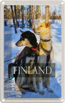 Produktbild von vianmo Blechschild 18x12 cm Finnland Schnee Winterzeit Wald Hunde Hund