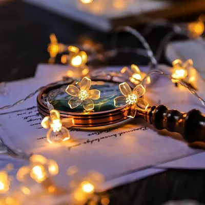 Blüten-Lichterkette 6 m, 40 LED, USB, warmweiß