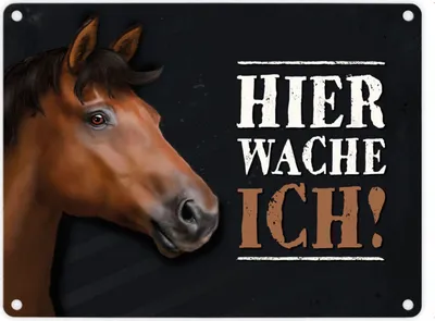 Produktbild von Metallschild mit Pferd Motiv und Spruch: Hier wache ich! Metallschild