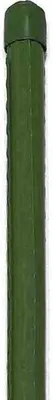 Produktbild von Siena Garden Pflanzstab PE-ummantelt, grün, 8x600 mm