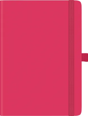 Produktbild von BRUNNEN 1079166267 Buchkalender Kompagnon Mod. 791 66 2027 A5, Kunststoff, pink
