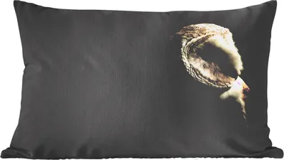 Produktbild von MuchoWow® Zierkissen Sofakissen Wohnzimmer Dekokissen 50x30 cm Eule - Vogel - Porträt - Wohnzimmerdekoration - Polster mit Photo