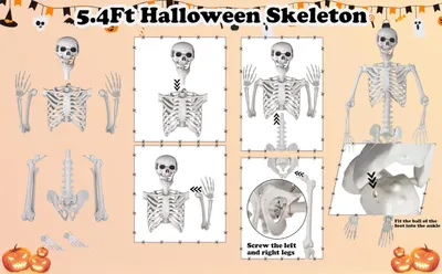 Zdjęcie produktu dla Realistyczny szkielet na Halloween, 165 cm, z ruchomymi połączeniami, dekoracja na Halloween