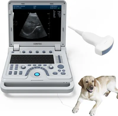Produktbild von Veterinär Ultraschallscanner Ultraschallgerät TierePulswellen-Doppler Hundekatze