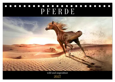Produktbild von Pferde - wild und ungezähmt (Tischkalender 2027 DIN A5 quer), CALVENDO Monatskalender