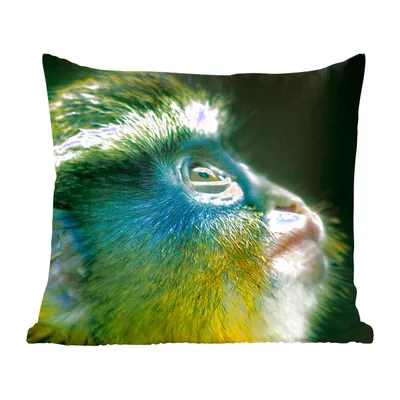 Produktbild von MuchoWow® Zierkissen Sofakissen Wohnzimmer Dekokissen 45x45 cm Affe - Gelb - Blau - Schlafpolster - Polster für das Sofa