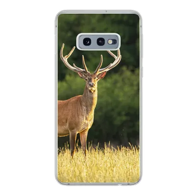 Produktbild von MuchoWow® Handyhülle Schutzhülle Hülle für Samsung Galaxy S10e Hirsch - Geweih - Gras - Natur - Tiere - Grün Silikon Softcase Handy Hülle - Handy