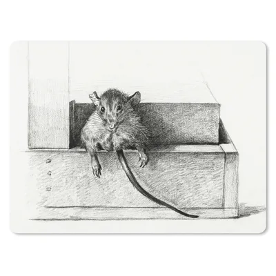 Produktbild von MuchoWow® Mauspad Mousepad Maus - Gemälde von Jean Bernard 23x19 cm - Mousepads - Maus Mat - Pad - Mausunterlage - Schreibtischunterlage - Mauspad