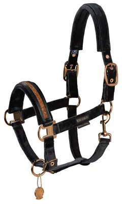Produktbild von Eskadron Platinum Halfter " DOUBLEPIN VELVET JEWEL " , Stallhalfter mit Kristalltape Farbe - black Größe - Pony2