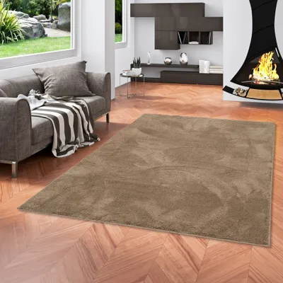 Produktbild von Luxus Super Soft Hochflor Langflor Teppich Silky Taupe, Größe:120x170 cm
